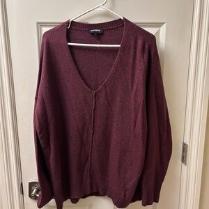 Express Plum V-Neck Sweater